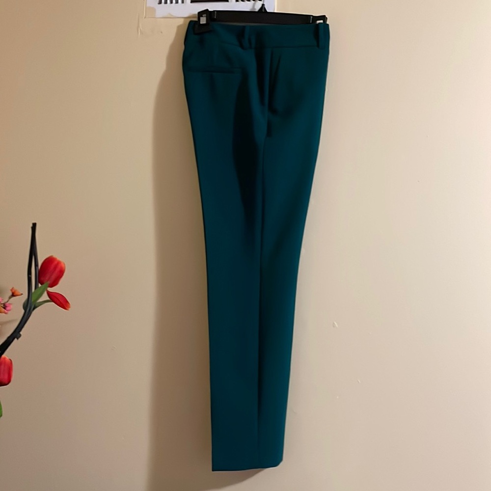Ann Taylor Super Cute Dress Pants